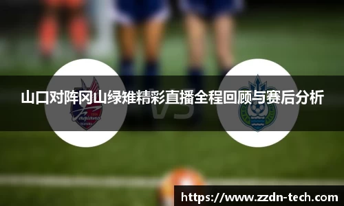 k1体育山口对阵冈山绿雉精彩直播全程回顾与赛后分析